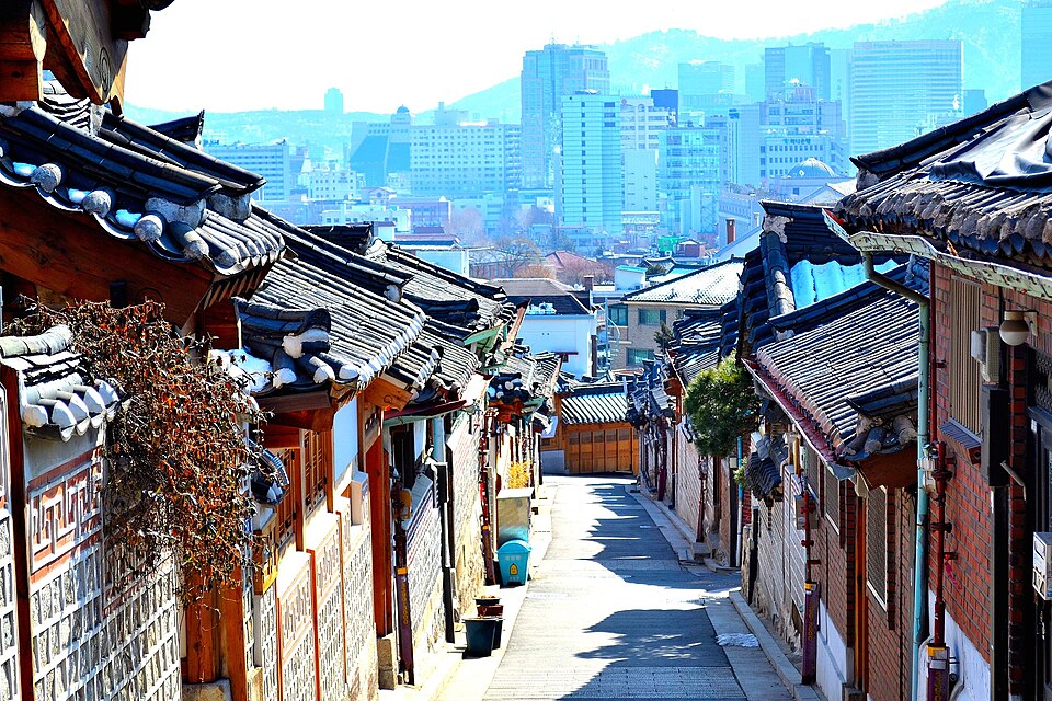 동물