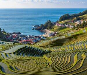 A wide-angle shot of Darangee Village in Namhae, South Korea, showing the terraced rice paddies cascading down to the sea.