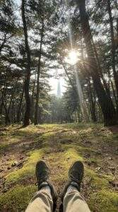 First-person perspective looking down at hiking shoes on a dirt path inside the Seonjeongneung Royal Tombs forest, with sunlight filtering through tall pine trees.
