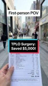 A first-person view of a person holding a veterinary bill on a street in Gangnam, Seoul. A text overlay highlights a $5,000 saving on TPLO surgery.
