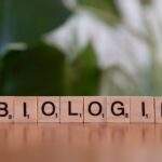 k bio manufacturing edge