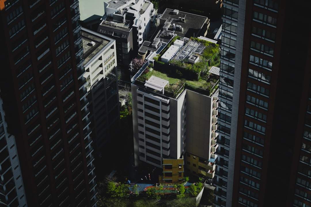 korea demographic singlehood childlessness refresh 1