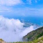 naver cloud ai supply chain