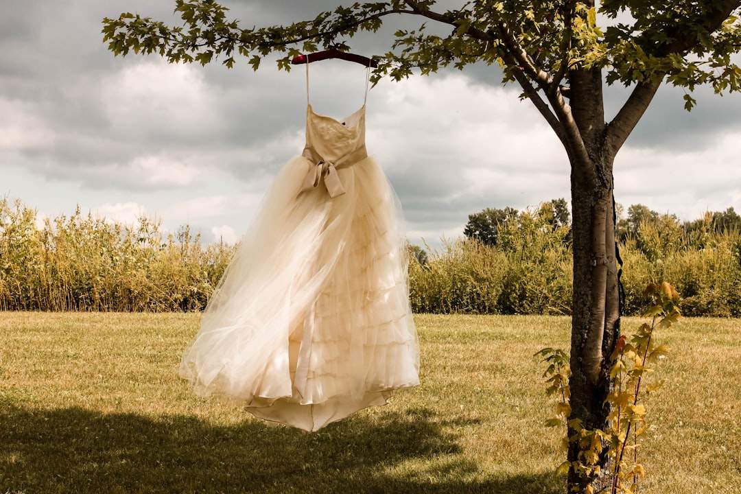 Korean Wedding Fashion: From Traditional Hanboks to Contemporary High Fashion Elegance 3 weddingfashion korea tech