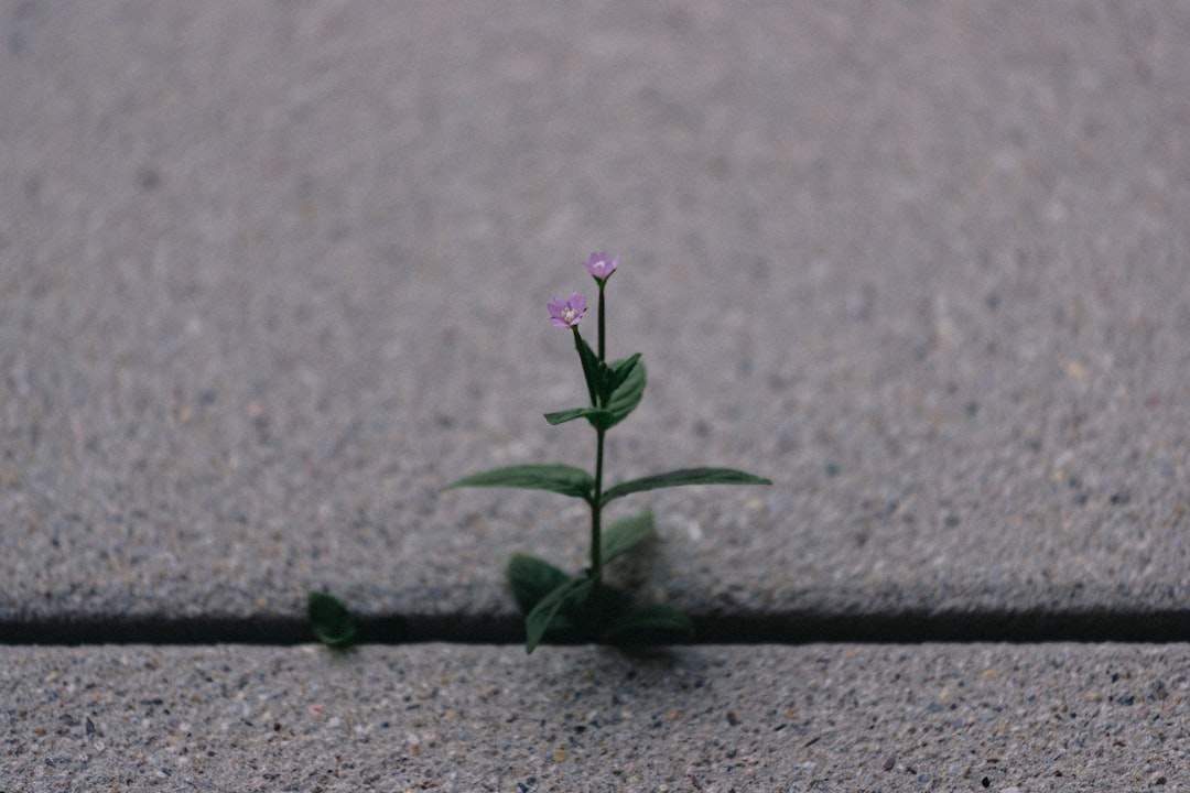Resilience korea tech