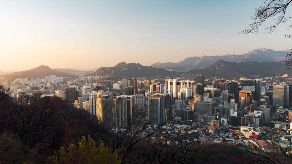 Park Geun-hye: South Korea’s First Female President 4 korea korea tech